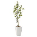 光触媒 人工観葉植物 インテリアグリーン おしゃれ 人工 造花 フェイクグリーン 人工植物 大きい グリーン 観葉植物 植物 アーバンブランチツリー インテリア...