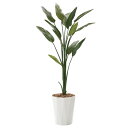光触媒 人工観葉植物 おしゃれ 消臭 造花 インテリアグリーン 水やり不要 人工植物 フェイクグリーン 大きい グリーン 観葉植物 フェイク 植物 高さ160c...