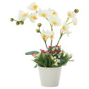 アレンジフラワー 光触媒 インテリア 消臭 敬老の日 観葉植物 フェイクグリーン 植物 造花 母の日 おしゃれ フェイク グリーン 人工観葉植物 花 光触媒造花...