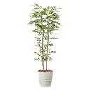 光触媒 フェイクグリーン おしゃれ 観葉植物 インテリアグリーン 玄関 消臭 大きい ゴールデンツリー 植物 造花 高さ160cm グリーン インテリア 人工観...