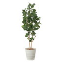 光触媒 フェイクグリーン 観葉植物 おしゃれ インテリアグリーン お手入れ不要 高さ160cm 大きい グリーン 植物 造花 パンの木 人工 消臭 インテリア ...