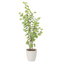 光触媒 観葉植物 おしゃれ インテリア 植物 インテリアグリーン 水やり不要 大きい 造花 バウヒニア 高さ160cm 人工 グリーン 光触媒加工 消臭 玄関 ...
