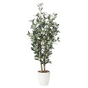 光触媒 人工観葉植物 おしゃれ インテリア 観葉植物 インテリアグリーン オリーブ 抗菌 高さ120cm 防汚 造花 消臭 フェイクグリーン 人工植物 光触媒加...