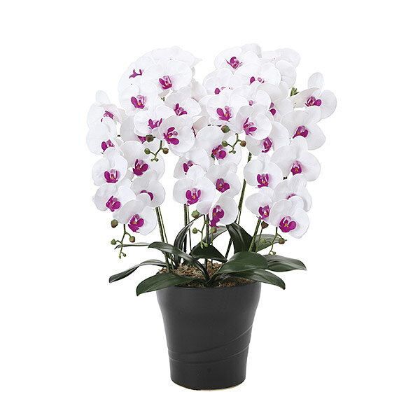 サイズ：幅500 奥行き450 高さ740 mm材質：[本体] ポリエステル、ポリエチレン [器] 陶器重量：約4.2kg光触媒加工（V-CAT）日本製※ハンドメイドのため、サイズ及び色の多少の誤差はご了承ください。※ラッピング不可※北海道...