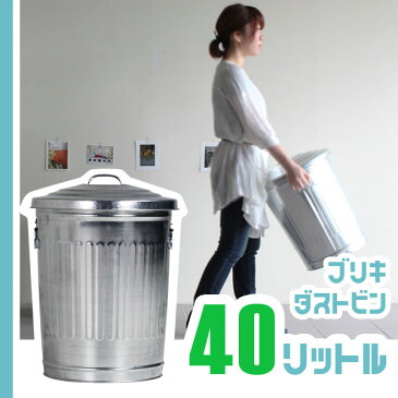 ごみ箱 ゴミ箱 ふた付き 大型 ブリキ おしゃれ 一人暮らし フタ付き 40リットル 40L ダストボックス レトロ シンプル ダストビン 大型ごみ箱 ダストBOX 屑箱 外置き キッチン かわいい 屋外 ダイニング アメリカン 大容量 インテリア デザイン 空き缶 リビング 室外 オフィス