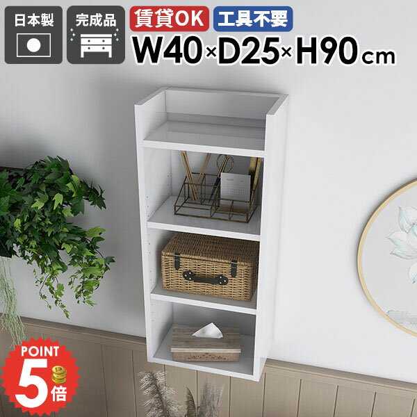 ウォールラック 完成品 石膏ボード ウォールシェルフ タオル収納 本棚 吊戸棚 キッ...