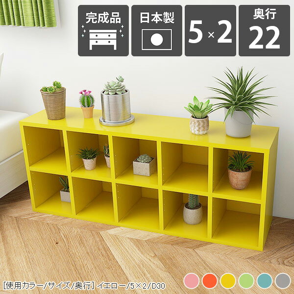 カラーボックス 低い 奥行22cm コミック 横長 北欧 約奥行20cm オープンシェルフ 絵本棚 コミックラック シンプル A4 本棚 ラック CDラック ロータイプ 文庫本 可動棚 大容量 2段 奥行き22cm カウンター下 まんが 完成品 漫画収納 おしゃれ かわいい 収納 おもちゃ収納 ☆