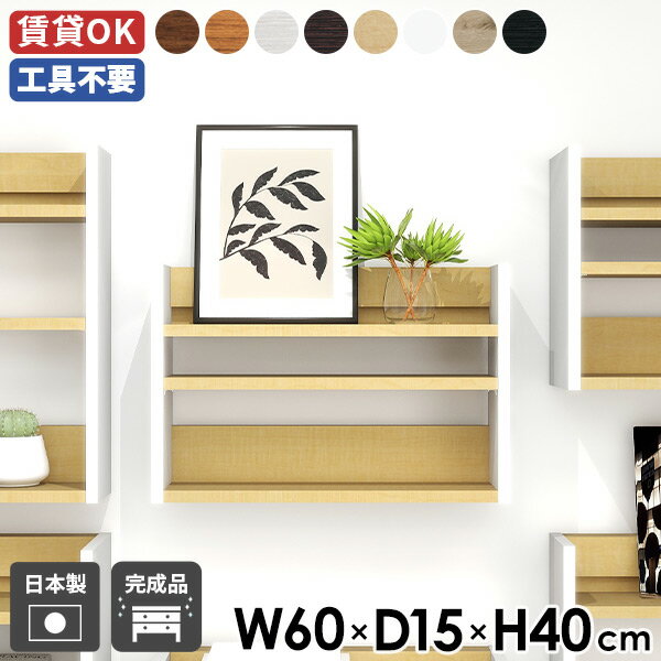 ウォールシェルフ 薄型 賃貸 吊り戸棚 石膏ボード ウォールラック 収納 小さい 壁掛け棚 本棚 おしゃれ..