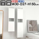 壁掛け棚 ウォールキャビネット 扉付き 賃貸 石膏ボード スリム ウォールシェルフ 吊り戸棚 トイレ棚 収納棚 隠す収納 薄型 壁に付けられる家具 洗面所 おし...