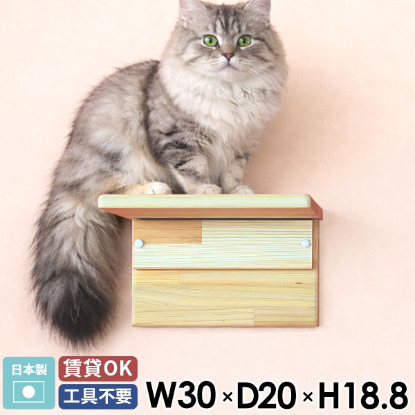 樂天商城 - 【在庫処分】キャットウォーク 壁掛け キャットステップ 多頭飼い 猫 壁を傷つけない 賃貸 足場 杉 スギ 木製 ウォールシェルフ 壁掛け棚 おしゃれ ウォールラック 賃貸取り付け 30cm 壁掛け収納 小型猫 大型猫 壁面収納 飾り棚 日本製 壁に付けられる家具 北欧 ◆