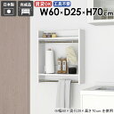 ハンガーラック ウォールハンガー 小さい 石膏ボード 衣類収納 ウォールシェルフ コート掛け 完成品 収納付き シンプル 洗面所 賃貸取り付け 玄関 収納棚 タ...
