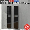 ウォールシェルフ 本棚 隠す収納 吊り戸棚 石膏ボード 収納棚 壁につける棚 賃貸 壁掛け棚 扉付き すきま収納 ウォールキャビネット おしゃれ 賃貸取り付け 奥行15cm スリム トイレ棚 木製 壁に付けられる家具 完成品 壁面収納 北欧 【MiraiスキマDX/3017150/Black】 ☆(3)