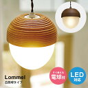 ペンダントライト LED 1灯 ペンダントランプ 照明 おしゃれ 天井 ペンダント アンティーク カフェ 北欧 どんぐり LED対応 レトロ ペンダント照明 照明器具 天井照明 ライト ランプ 天井照明器具 ペンダントライト 白熱球付 玄関 洗面所 トイレ 廊下 ショップ