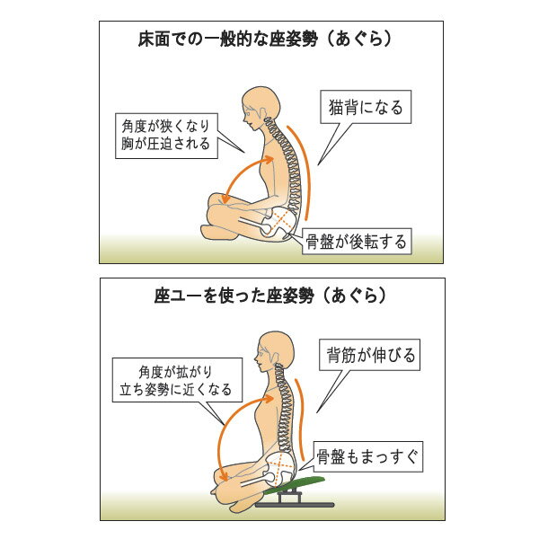 あぐら座椅子 あぐらチェア あぐら椅子 和風 座椅子 胡座 敬老の日 プレゼント 胡座座椅子 チェア 姿勢 和室 いす あぐら用 ZAU-04 スウィング背付座ユー [3]