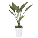 観葉植物 光触媒 植物 ストレチア 消臭 フェイクグリーン グリーン 光触媒 ホルムアルデヒド 造花 防汚 高さ110cm 抗菌 人工観葉植物 インテリア 分解 観葉植物 造花 人工植物 人工 鑑賞 フェイク 光触媒グリーン プレゼント 引っ越し祝い 新築祝い 開店祝い