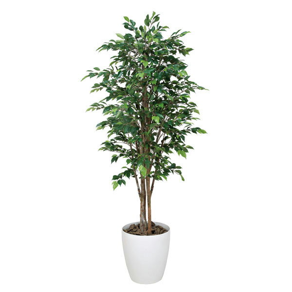 Benjamin - 観葉植物 光触媒 植物 ベンジャミン フェイク 人工観葉植物 グリーン 大型 防汚 抗菌 ホルムアルデヒド ロイヤル フェイクグリーン 造花 鑑賞 人工植物 高さ160cm 消臭 分解 アートグリーン 光触媒観葉植物 プレゼント 引っ越し祝い 新築祝い 開店祝い