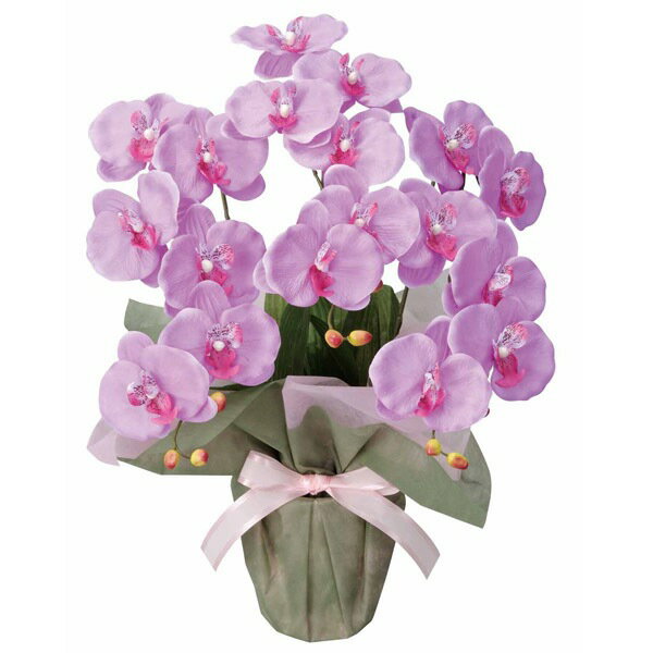 光触媒フラワー 光触媒 胡蝶蘭 造花 フラワー 消臭 アートフラワー 観葉植物 花 精巧 抗菌 アーティフィシャルフラワー コチョウラン アレンジメント フェイクフラワー 母の日 記念日 インテリア お祝い プレゼント ギフト フラワーギフト 誕生日 贈り物 ミディ胡蝶蘭L