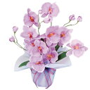 フェイクフラワー 光触媒 造花 観葉植物 卓上 ミニ フラワーギフト インテリア アレンジメント アーティフィシャルフラワー 消臭 フラワー 花 人工植物 誕生...