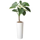 消臭 フェイク フェイクグリーン 高さ180cm クワズイモ 大型 光触媒グリーン 植物 観葉植物 人工植物 人工観葉植物 観葉植物 インテリア イミテーション...