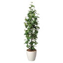 フェイク 高さ170cm シンゴニューム 観葉植物 大型 植物 人工植物 グリーン 光触媒 インテリア 人工観葉植物 抗菌 イミテーショングリーン フェイクグリ...