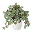イミテーショングリーン 観葉植物 フェイクグリーン 光触媒 テーブルタイプ 観葉植物 植物 人工植物 人工植物 観葉植物 人工観葉植物 人工植物 グリーン ロー...