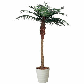 乐天商城 - 人工観葉植物 観葉植物 光触媒 グリーン 植物 イミテーショングリーン 光の楽園 光触媒人工観葉植物 大型 フェイクグリーン 高さ180cm 人工植物 インテリアグリーン 光触媒人工植物 インテリア 消臭 ホルムアルデヒド 分解 フェニックス 1.8