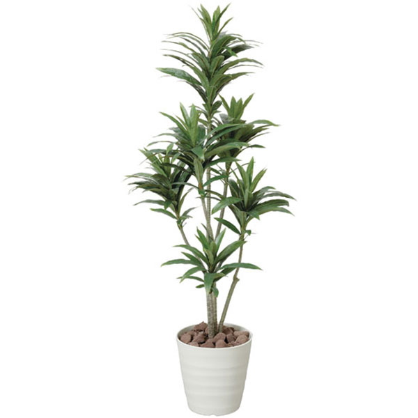 観葉植物 光触媒 植物 ドラセナ グリーン 人工植物 人工観葉植物 イミテーショングリーン インテリアグリーン 高さ125cm 光触媒人工植物 フェイクグリーン ギフト インテリア 光の楽園 消臭 抗菌 ホルムアルデヒド 分解 ドラセナコンパクタ 1.25のサムネイル