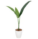 観葉植物 光触媒 植物 イミテーショングリーン グリーン 人工植物 インテリアグリーン フェイクグリーン 光触媒人工植物 インテリア 人工観葉植物 高さ110c...