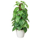観葉植物 光触媒 植物 イミテーショングリーン グリーン インテリアグリーン フェイクグリーン ギフトインテリア 観葉植物 人工植物 高さ48cm 人工観葉植物...