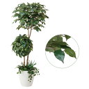 人工観葉植物 観葉植物 光触媒観葉植物 グリーン 植物 フェイク ベンジャミン 光触媒加工 植栽付 フェイクグリーン 高さ180cm 消臭 インテリア 大型 ア...