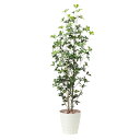 観葉植物 グリーン シェフレラツリー 高さ170cm 大型 インテリアグリーン イミテーショングリーン フェイクグリーン おしゃれ 造花 消臭 抗菌 防汚 ホル...