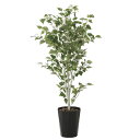 光触媒 観葉植物 枯れない イミテーショングリーン 植物 祝い インテリア 人工観葉植物 贈り物 抗菌 ギフト 消臭 記念日 母の日 高さ140cm グリーン ...