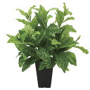 人工観葉植物 抗菌 消臭 観葉植物 フェイクグリーン 母の日 光触媒 枯れない 祝い 記念日 贈り物 インテリア ギフト アクバL インテリアグリーン 人工植物...