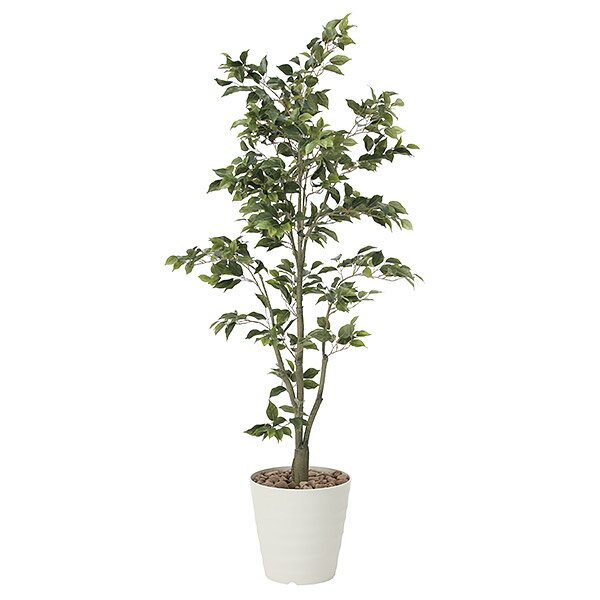 光触媒 観葉植物 植物 人工観葉植物 インテリア おしゃれ グリーン フィカスツリー 高さ180cm