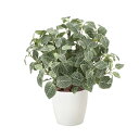 人工観葉植物 光触媒 ミニグリーン 観葉植物 ミニ フェイク グリーン インテリア 人工植物 高さ48cm フィットニア