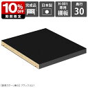 【H-001専用棚板1枚のみ】 可動棚 棚板 移動棚 H-001 D30用 black ★