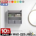 壁掛けラック ウォールシェルフ スリム 薄型ラック 壁面シェルフ ディスプレイシェルフ 幅60cm ラック シェルフ 子供部屋 カラフル 北欧 おしゃれ キッチ...