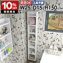 ウォールラック ディスプレイラック 壁掛け収納 すきま収納 収納棚 日本製 完成品 壁面収納 オープンラック 北欧 モダン カフェ キッチン リビング ダイニン...