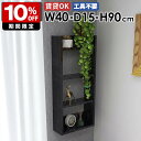 壁掛けシェルフ ウォールラック ディスプレイラック 収納棚 日本製 完成品 隙間収納 本棚 北欧 モダン キッチン収納 リビング ダイニング オフィス 飾り棚 ...