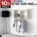 壁掛けハンガーラック 壁掛けラック パイプハンガー オシャレ インテリア 子供部屋 収納ラック コートハンガー シンプル 玄関収納 収納 収納棚 スリム 洋服収...