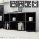 ラック リビング 奥行30cm ブックシェルフ 見せる収納 本棚 日本製 オープンラック 2段 黒 ディスプレイラック 低め カラーボックス 棚 北欧 シンプル...