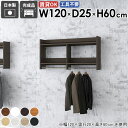 壁掛けラック ウォールハンガーラック タオル掛け 洋服掛け コート掛け シンプル コンパクト ディスプレイ 収納 収納具 雰囲気 頑丈 衣類収納 ラック フック...