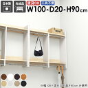 壁掛けハンガーラック 壁掛けラック 壁掛け 壁取り付け 衣類 お部屋 パイプハンガー 什器 ハンガーバー 収納 雰囲気 部屋 インテリア ディスプレイラック ハ...