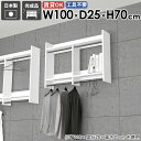 壁掛けハンガーラック 壁掛けラック スタイル 衣類 パイプハンガー 頑丈 家具 シンプル 子供部屋 スリム おしゃれ 壁付け 棚付き 帽子掛け ハンガー リビン...