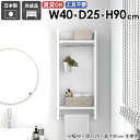 ウォールハンガーラック ウォールラック 什器 衣類収納 場所 ディスプレイ 棚付き 小物 帽子 おしゃれ 整理整頓 ハンガー掛け 収納家具 壁面収納 フック 壁...