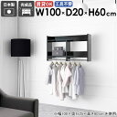 壁掛けハンガーラック 壁掛けラック スタイル 衣類 パイプハンガー 頑丈 家具 シンプル 子供部屋 スリム おしゃれ 壁付け 棚付き 帽子掛け ハンガー リビン...