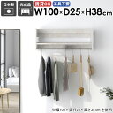 壁掛けハンガーラック 壁掛けラック 賃貸 壁掛け フック 収納家具 ディスプレイ ポールハンガー 取り付け 洋服収納 コートラック コート掛け 場所 リビング ...