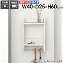 ウォールハンガーラック ウォールラック 玄関収納 コンパクト スリム パイプハンガー ハンガー掛け 収納家具 部屋 収納棚 家具 雰囲気 キッチン スペース 容...