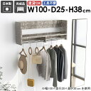 壁掛けハンガーラック 壁掛けラック 什器 衣類収納 場所 ディスプレイ 棚付き 小物 帽子 おしゃれ 整理整頓 ハンガー掛け 収納家具 壁面収納 フック 壁に付...
