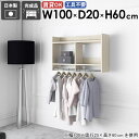 壁掛けハンガーラック 壁掛けラック パイプハンガー オシャレ インテリア 子供部屋 収納ラック コートハンガー シンプル 玄関収納 収納 収納棚 スリム 洋服収...